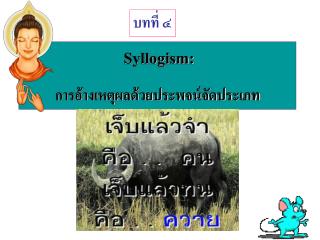 Syllogism: การอ้างเหตุผลด้วยประพจน์จัดประเภท