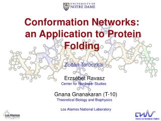 Conformation Networks: an Application to Protein Folding