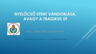 Nyelőcső stent vándorlása, avagy a tragikus út Pekli Damjá n, Vass Tam ás