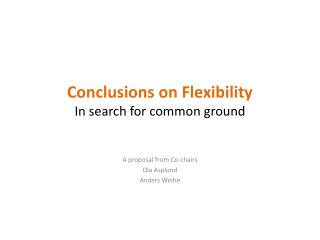 Conclusions on Flexibility In search for common ground