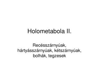 Holometabola II.