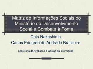 Matriz de Informações Socia i s do Ministério do Desenvolvimento Social e Combate à Fome