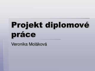 Projekt diplomové práce