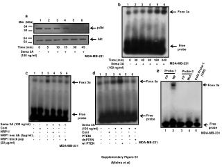 Supplementary Figure S1 (Mishra et al )