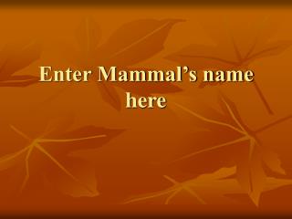 Enter Mammal’s name here