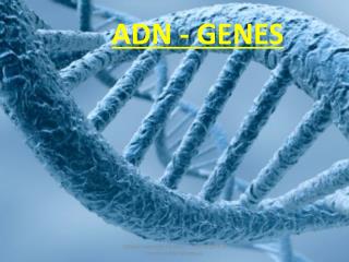 ADN - GENES