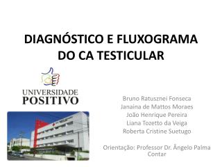 DIAGNÓSTICO E FLUXOGRAMA DO CA TESTICULAR