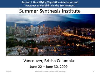 Summer Synthesis Institute