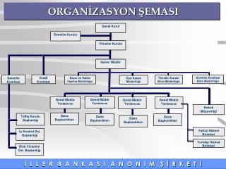 ORGANİZASYON ŞEMASI