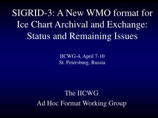 The IICWG Ad Hoc Format Working Group