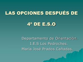 LAS OPCIONES DESPUÉS DE 4º DE E.S.O