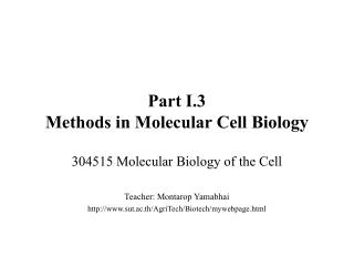 Part I.3 Methods in Molecular Cell Biology