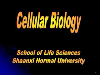Cellular Biology