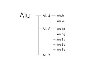 Alu