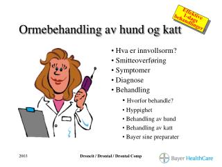 Ormebehandling av hund og katt