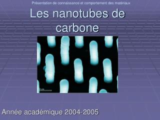 Les nanotubes de carbone