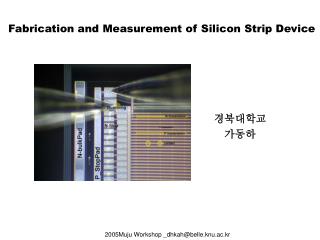  Fabrication and Measurement of Silicon Strip Device