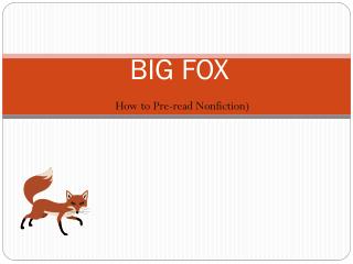 BIG FOX