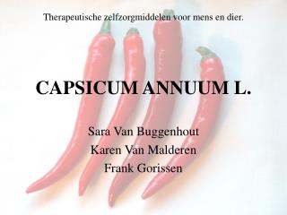 CAPSICUM ANNUUM L.