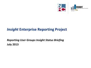 Insight Enterprise Reporting Project