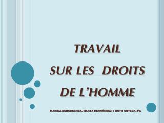 TRAVAIL SUR LES DROITS DE L’HOMME