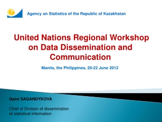  United Nations Regional Workshop on Data Dissemination and Communication