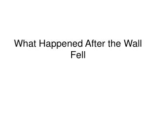 What Happened After the Wall Fell