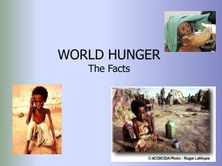 WORLD HUNGER The Facts