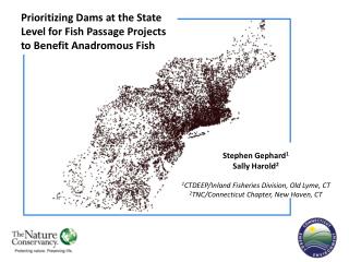 Prioritizing Dams at the State Level for Fish Passage Projects to Benefit Anadromous Fish