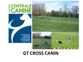 GT CROSS CANIN