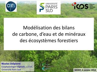 Modélisation des bilans de carbone, d’eau et de minéraux des écosystèmes forestiers