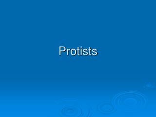 Protists