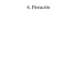 6. Floración