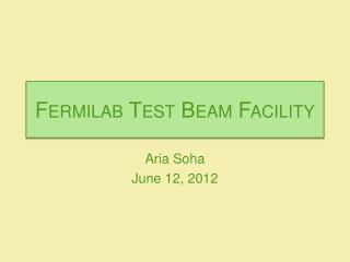 Fermilab Test Beam Facility