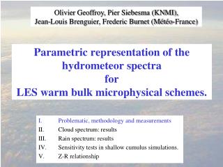 Parametric representation of the hydrometeor spectra for LES warm bulk microphysical schemes.