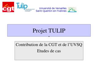 Projet TULIP