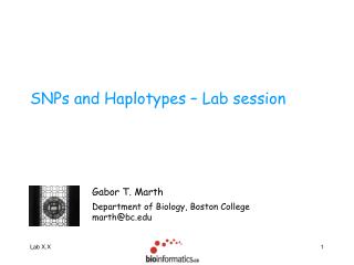 SNPs and Haplotypes – Lab session