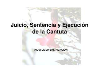 Juicio, Sentencia y Ejecución de la Cantuta