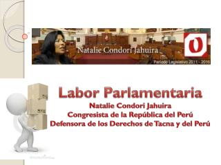 Labor Parlamentaria Natalie Condori Jahuira Congresista de la República del Perú