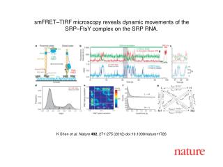 K Shen et al. Nature 492 , 271-275 (2012) doi:10.1038/nature11726