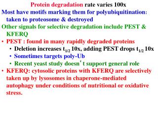 Protein degradation rate varies 100x