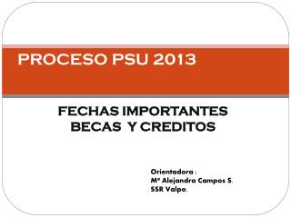 PROCESO PSU 2013