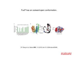 SY Dang et al . Nature 000 , 1 - 5 (2010) doi:10.1038/nature0 9406