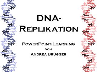 DNA- Replikation