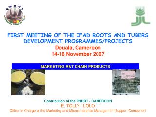 Contribution of the PNDRT - CAMEROON E. TOLLY LOLO