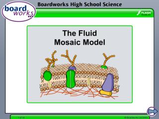 What are membranes?