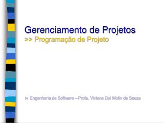 Gerenciamento de Projetos &gt;&gt; Programação de Projeto