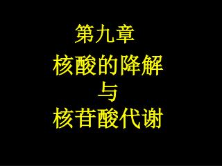 第九章 核酸的降解 与 核苷酸代谢