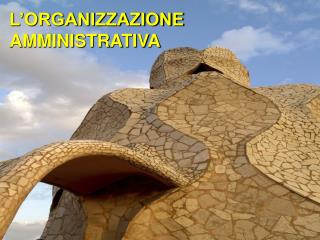 L’ORGANIZZAZIONE AMMINISTRATIVA