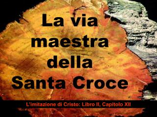 La via maestra della Santa Croce